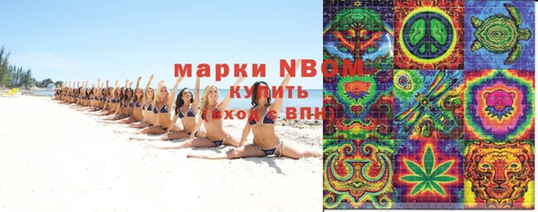 амф Новозыбков