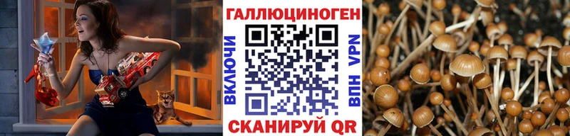 даркнет сайт  Апрелевка  Псилоцибиновые грибы прущие грибы 